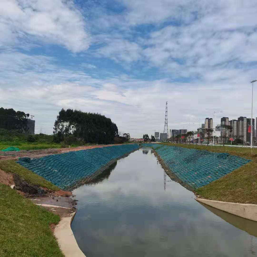 增城市雅瑶河、矮岗河支流