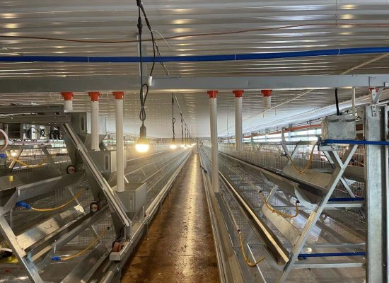 广东南海黄种业发展有限公司完善配套改造项目设计施工总承包